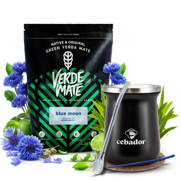 Yerba Mate Set Verde Mate 500g 0,5kg Thermal Mate Cup TermoMate PRO
