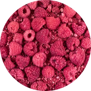 FiloLilo – Freeze-dried raspberries 20g