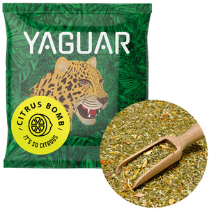 Yerba Mate Thermos Bombilla Set for Two 500g