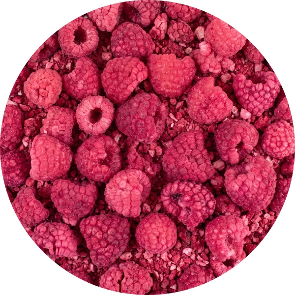FiloLilo – Freeze-dried raspberries 100g