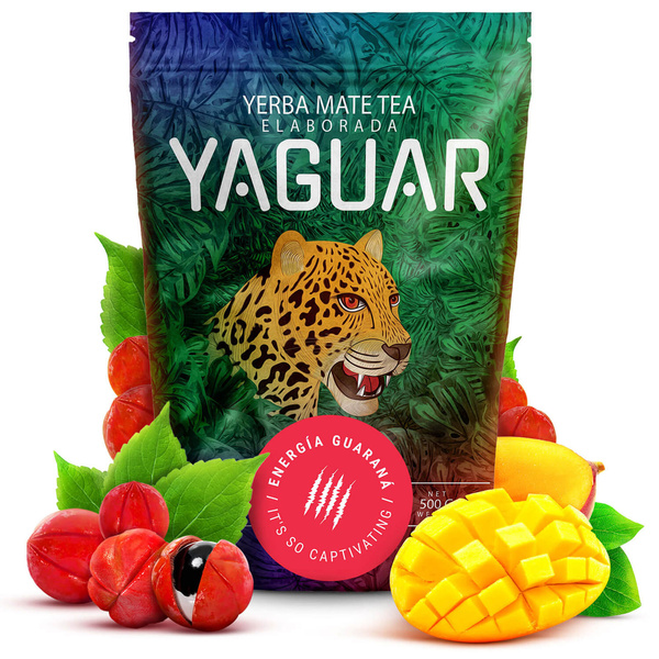 Yerba Mate Yaguar Energia 500g calabash thermos set