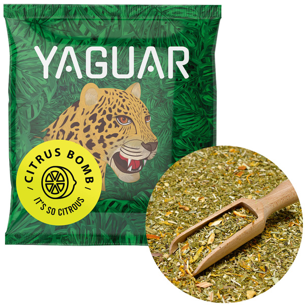 Yerba Mate Thermos Bombilla Set for Two 500g