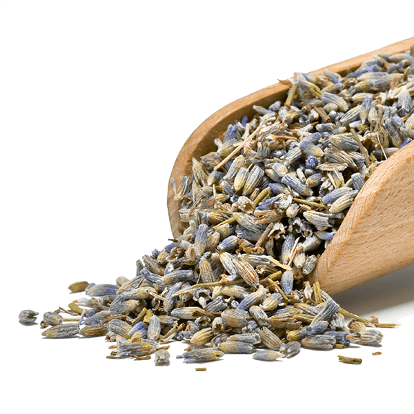 Mary Rose – Lavender 25 g (organic)