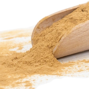 Magic Pwdr – Reishi 50g