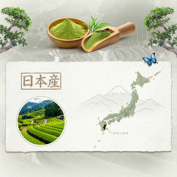 Japanese Matcha Tenno Green Tea (BIO) Ceremonial 50g