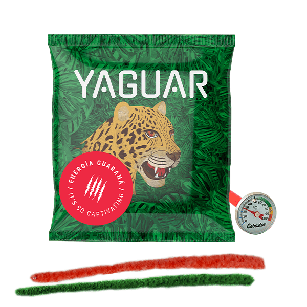 Yerba Mate Tea 50g + Thermometer + Cleaner Set