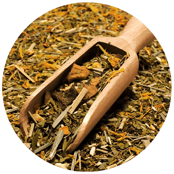 Yaguar Mango Tango