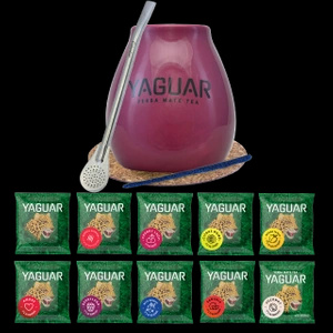 Set Yerba Mate Yaguar 10x50g Calabash Bombilla