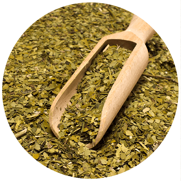 Yerbera – Tin can + Verde Mate Green Organica 0.5kg