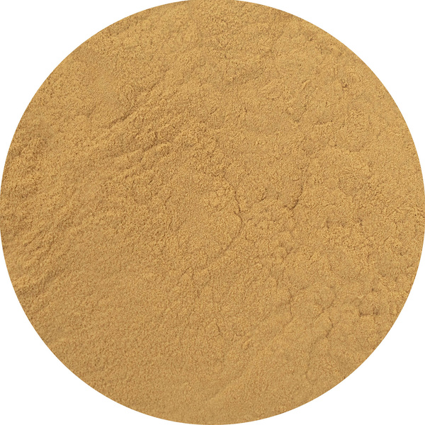 Magic Pwdr – Reishi 100g