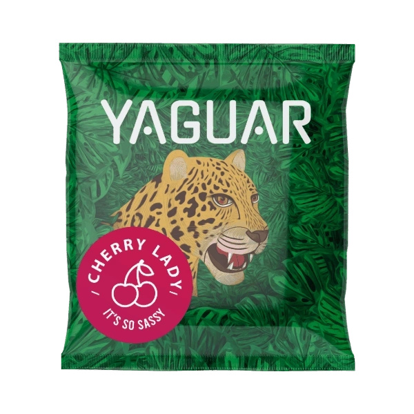 Yerba Mate Set for Two: Yaguar 10x50g samples + 2x Calabash + 2x Bombilla