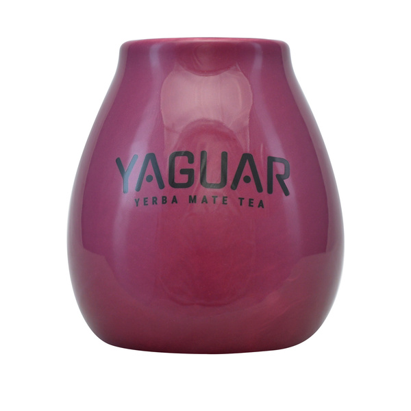 Set Yerba Mate Yaguar 10x50g Calabash Bombilla