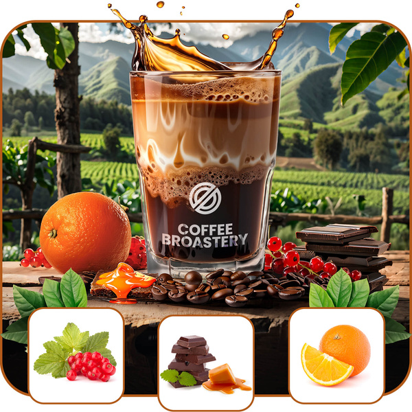 Bro Coffee Roastery - Whole Bean Coffee Colombia Medellin Premium 1kg