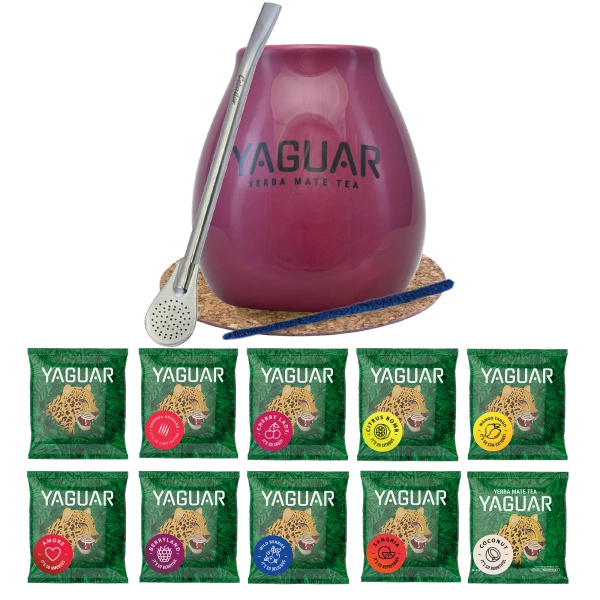 Set Yerba Mate Yaguar 10x50g Calabash Bombilla