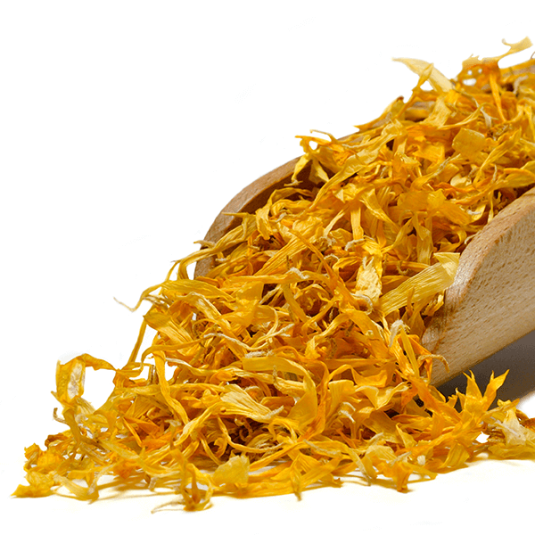 Mary Rose – Marigold 10g – Marigold Flower Petals