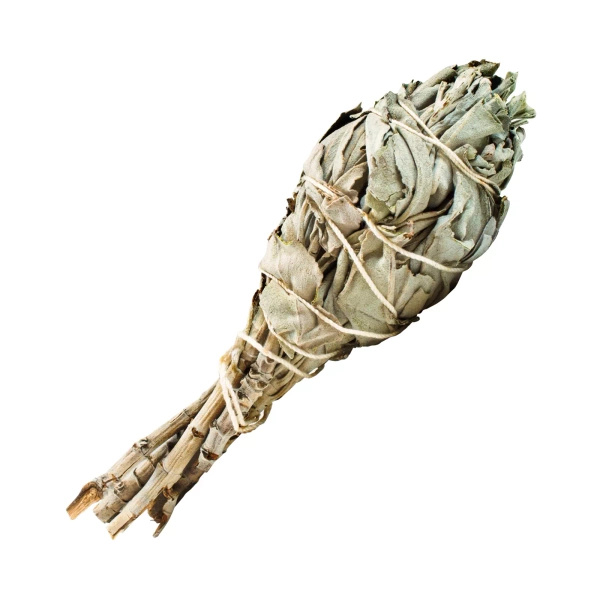 White sage – Incense 15-20g (torch)