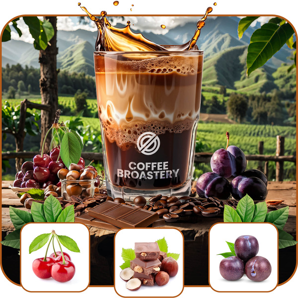 Bro Coffee Roastery - Whole Bean Coffee Costa Rica San Rafael Speciality 1kg