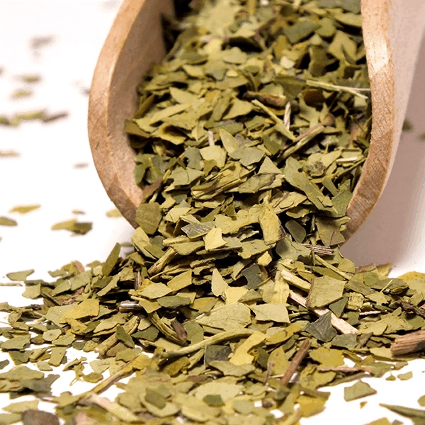 Verde Mate Green Despalada - Product