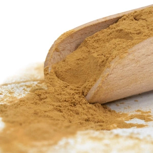 Magic Pwdr – Chaga 50g