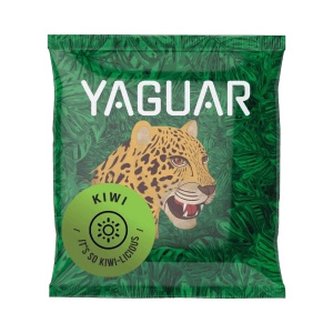 Yerba Mate Thermos Bombilla Set for Two 500g