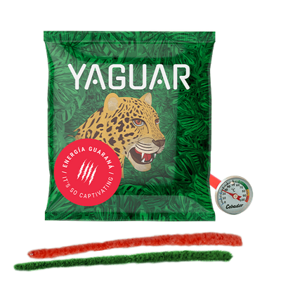 Yerba Mate Tea 50g + Thermometer + Cleaner Set