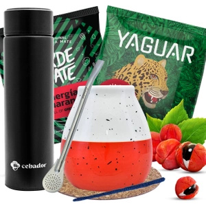 Yerba Mate starter kit THERMOS Mate Gourd 2x50g