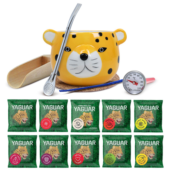 Yerba Mate Starter Set: Yaguar 10x50g samples + Calabash + Bombilla
