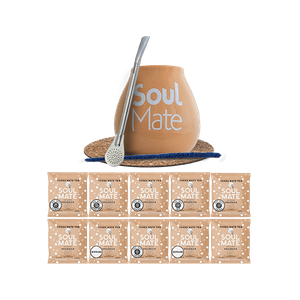 Huge Starter Kit Yerba Mate Mix 10 x 50 g